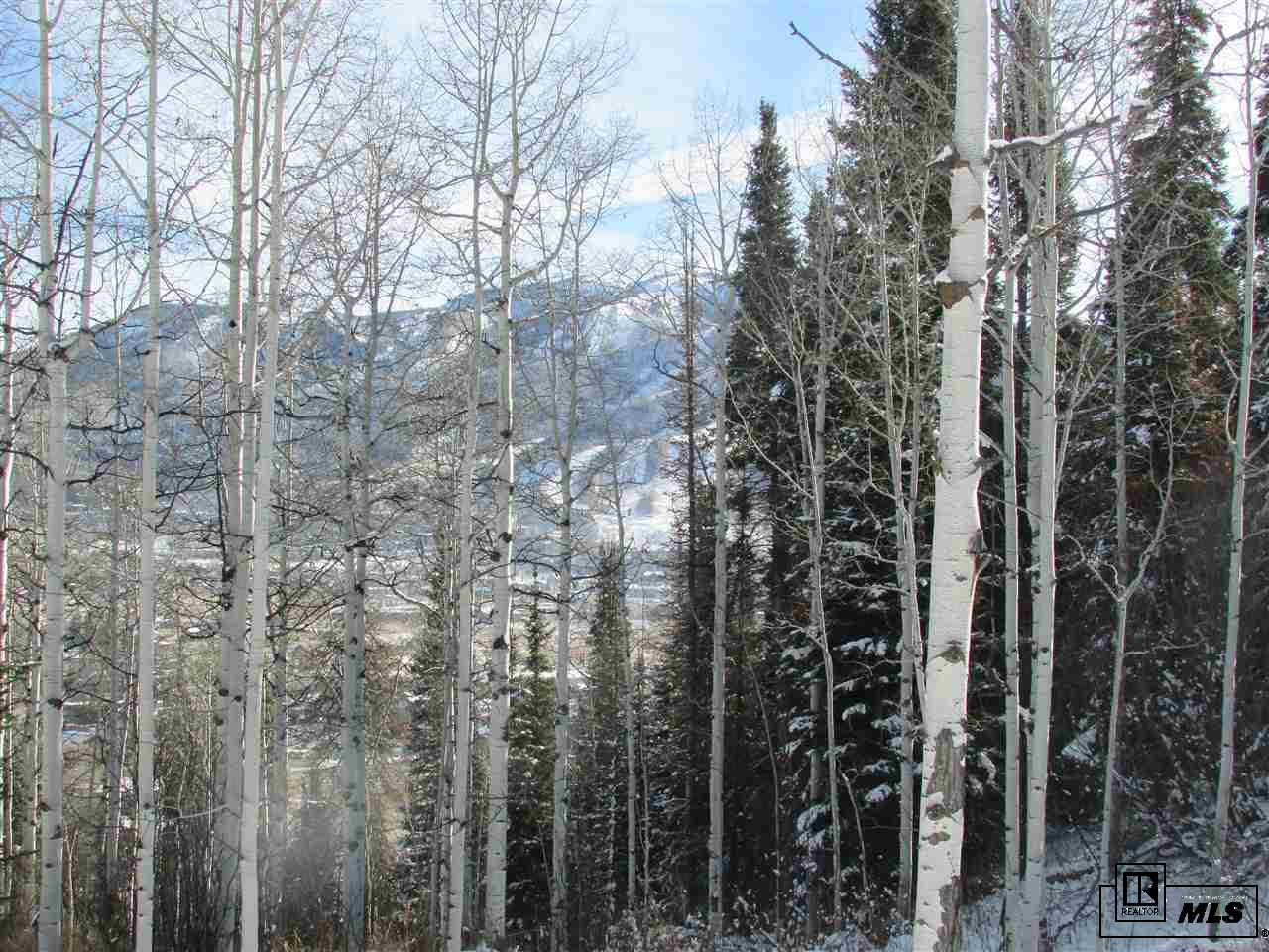 RCR 14, Steamboat Springs, CO 80487