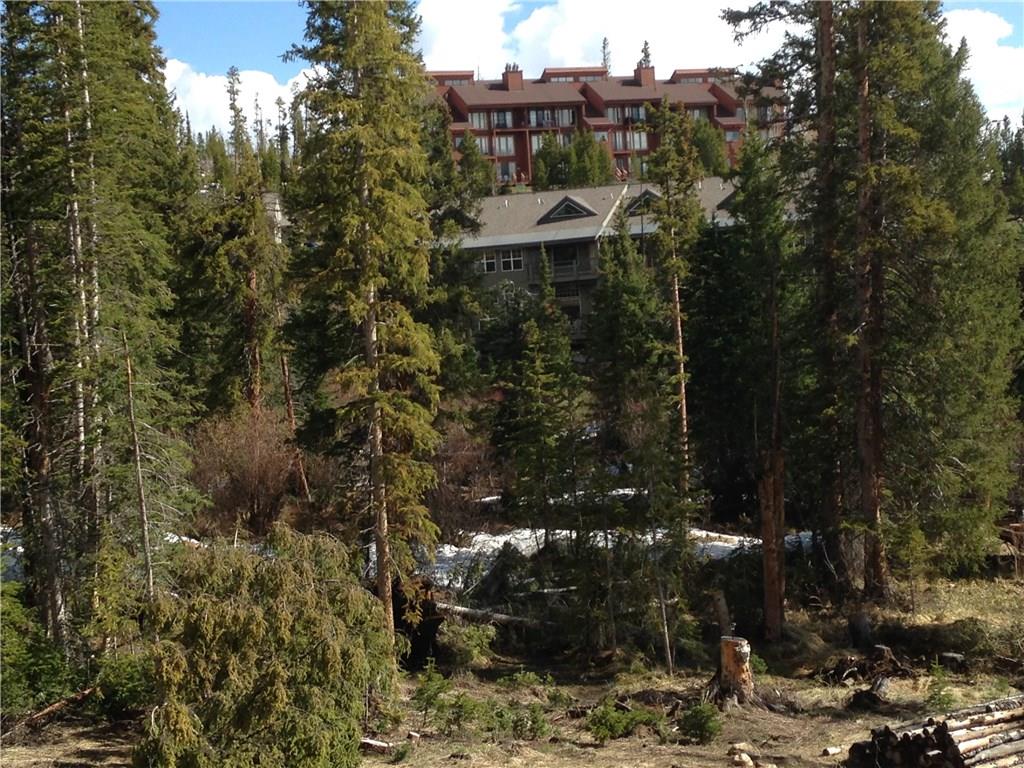91599 RYAN GULCH ROAD, Silverthorne, CO 80498