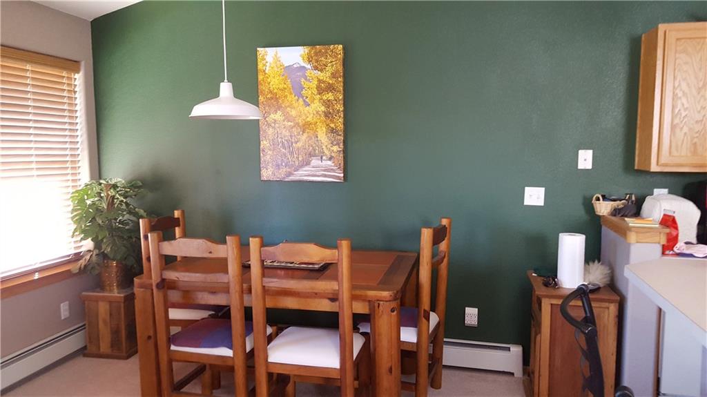 91599 RYAN GULCH ROAD, Silverthorne, CO 80498