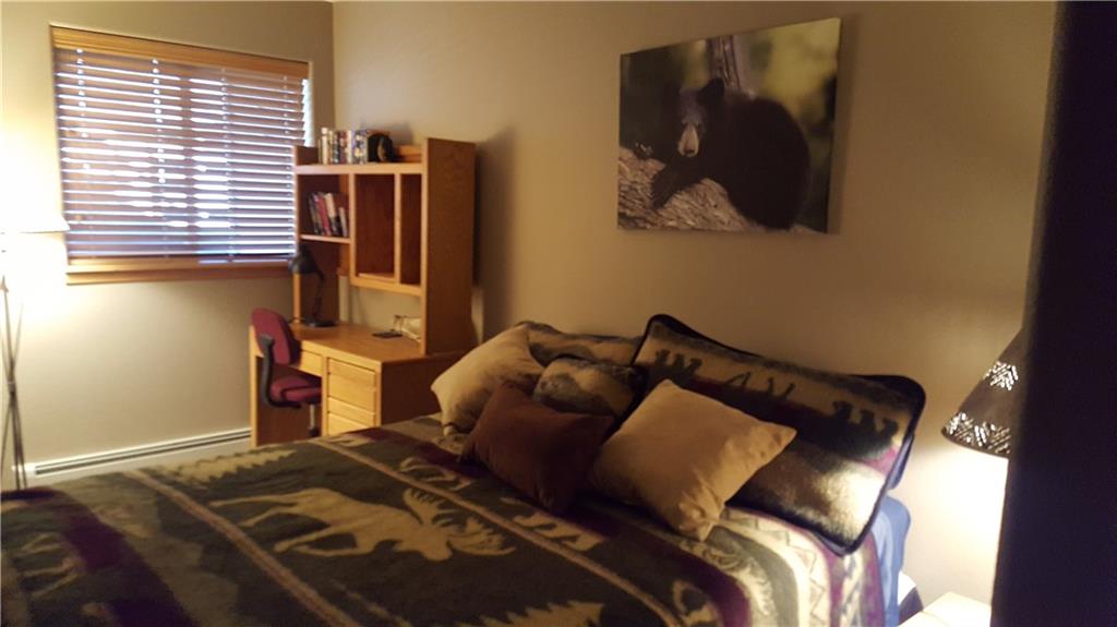 91599 RYAN GULCH ROAD, Silverthorne, CO 80498