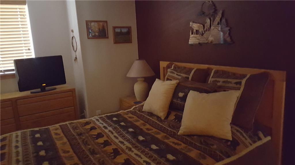 91599 RYAN GULCH ROAD, Silverthorne, CO 80498