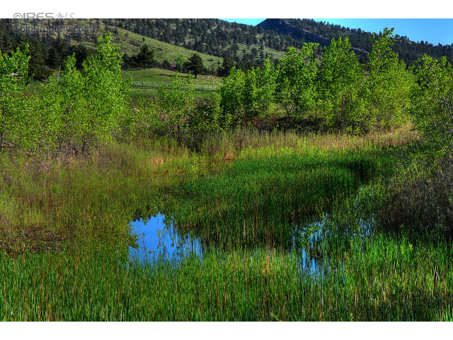 9421 N Foothills Hwy, Longmont, CO 80503
