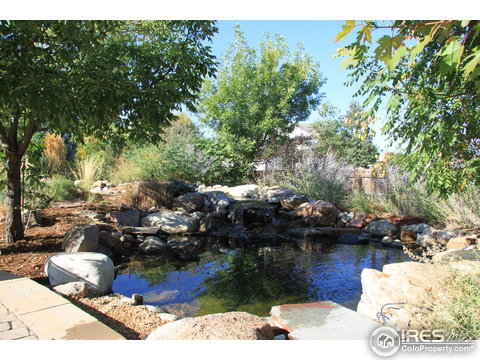 4855 Falcon Dr, Frederick, CO 80504
