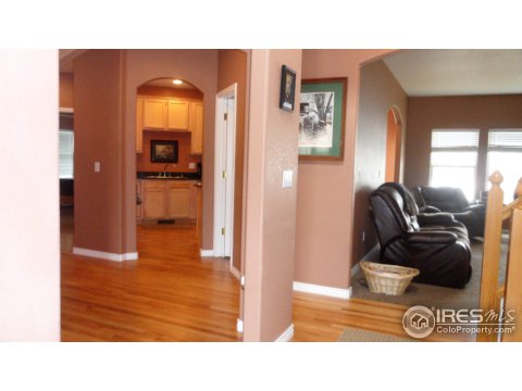 9036 Eldorado Ave, Longmont, CO 80504