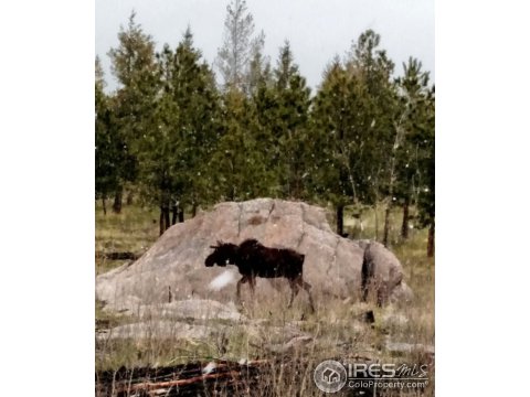 3521 Davis Ranch Rd, Bellvue, CO 80512