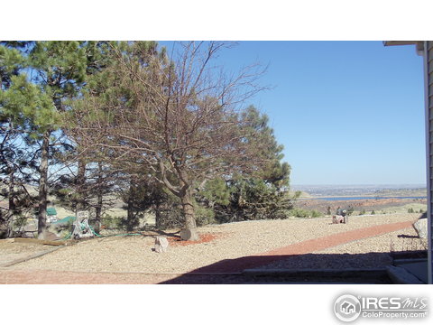 6205 Jackpine Dr, Bellvue, CO 80512