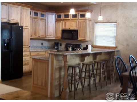 1740 Monument Gulch Way, Bellvue, CO 80512