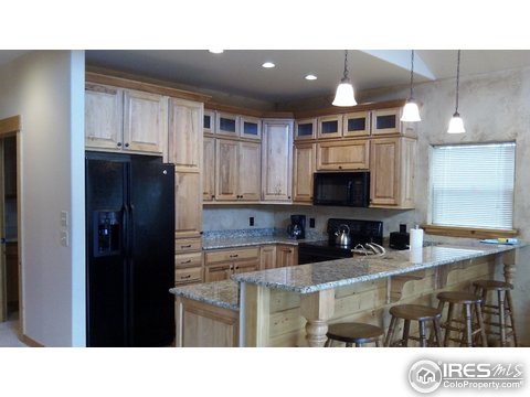 1740 Monument Gulch Way, Bellvue, CO 80512