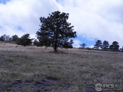 510 Southview Rd, Berthoud, CO 80513