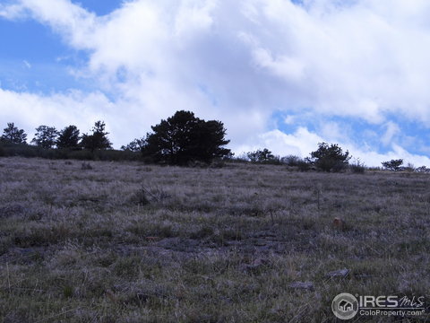510 Southview Rd, Berthoud, CO 80513
