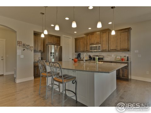 1148 Wagon Bend Rd, Berthoud, CO 80513