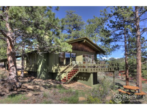 310 Westview Ln, Estes Park, CO 80517