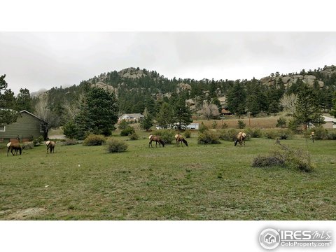450 Far View Ln, Estes Park, CO 80517
