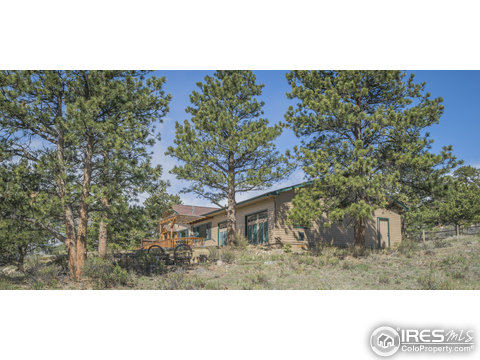 663 Little Prospect Rd, Estes Park, CO 80517
