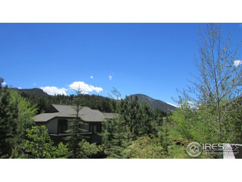 616 Park River Pl, Estes Park, CO 80517