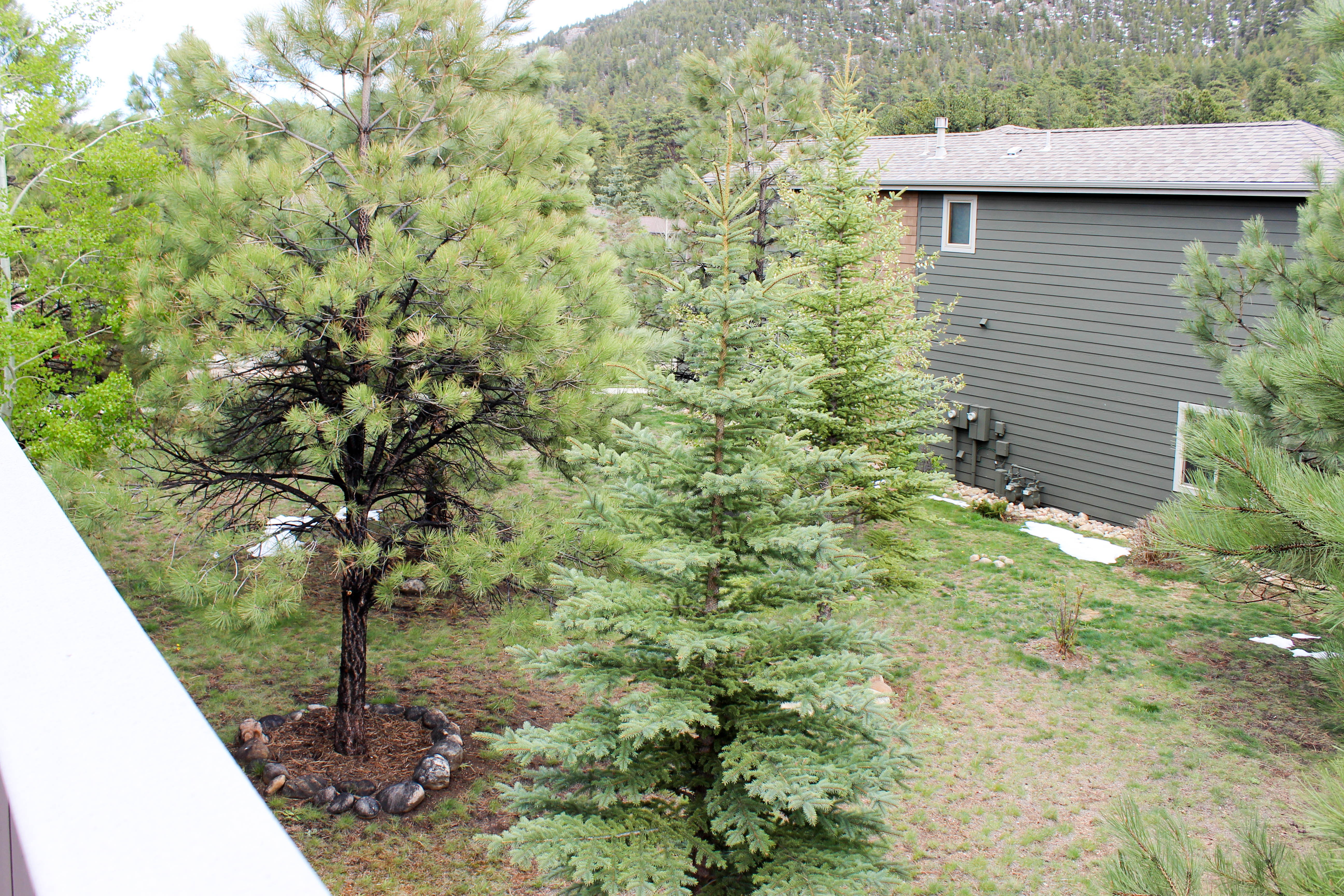 617 Park River Pl., Estes Park, CO 80517
