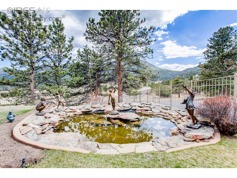 3005 Grey Fox Dr, Estes Park, CO 80517
