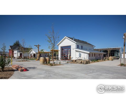 2038 Blue Yonder Ct, Fort Collins, CO 80525