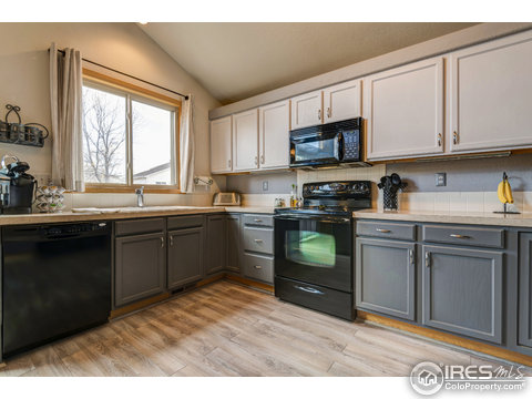 1509 Corydalis Ct, Fort Collins, CO 80526
