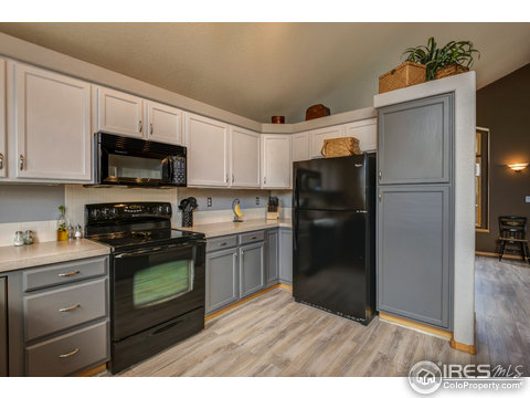 1509 Corydalis Ct, Fort Collins, CO 80526