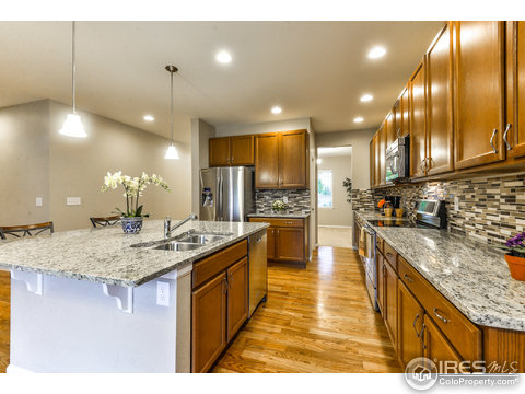 4003 Wild Elm Way, Fort Collins, CO 80528