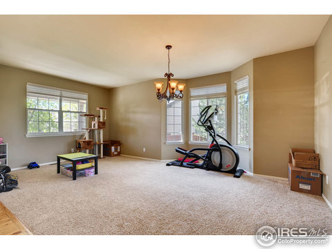 331 Drake Ln, Johnstown, CO 80534