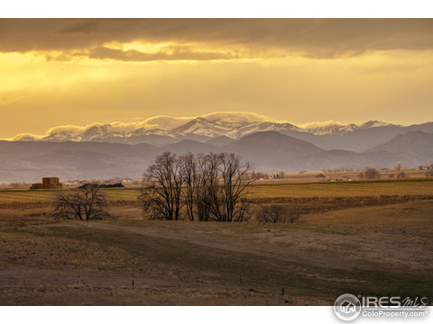 313 Merganser Ln, Johnstown, CO 80534