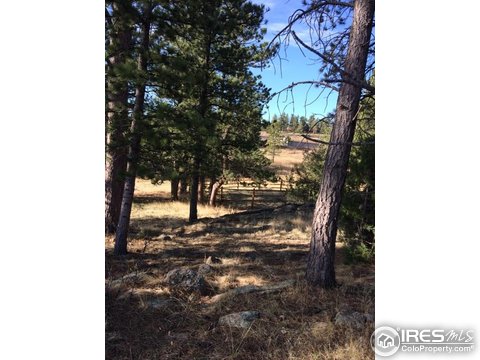 1549 Montcalm Dr, Livermore, CO 80536