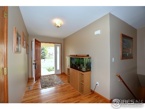 1644 Maiden Grass Dr, Loveland, CO 80537