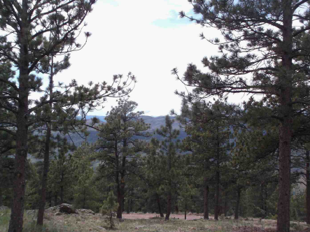 13382 Otter RdLoveland, CO, 80538Larimer County