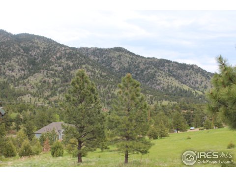 71 Arapahoe Ct, Lyons, CO 80540