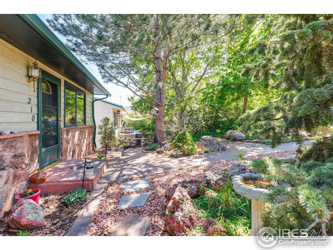 210 Ewald Ave, Lyons, CO 80540