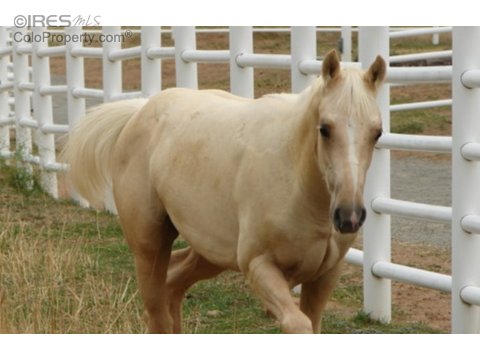 17503 State Highway 7, Lyons, CO 80540