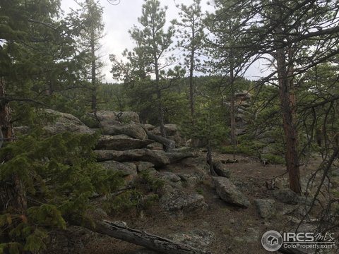 0 Elk Valley Road Rd, Red Feather Lakes, CO 80545