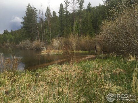 0 Elk Valley Road Rd, Red Feather Lakes, CO 80545