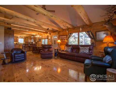 49 Mule Deer Ridge Ct, Red Feather Lakes, CO 80545