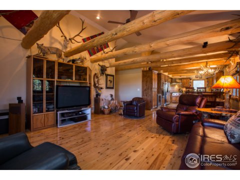 49 Mule Deer Ridge Ct, Red Feather Lakes, CO 80545