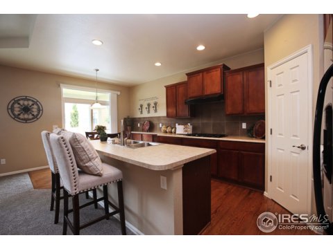6355 Huntly Rd, Timnath, CO 80547