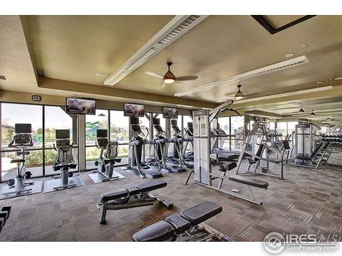 6154 Moran Rd, Timnath, CO 80547