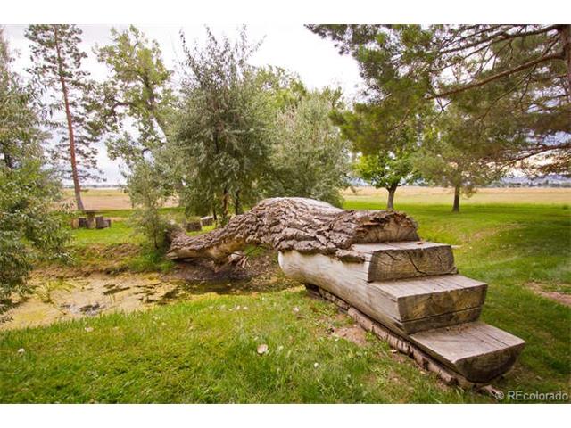 6133 Olde Timnath Farms, Timnath, CO 80547