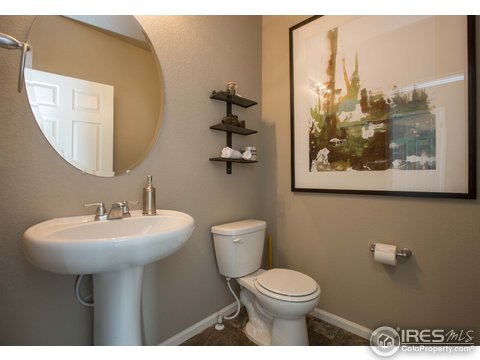 2264 Stonefish Dr, Windsor, CO 80550