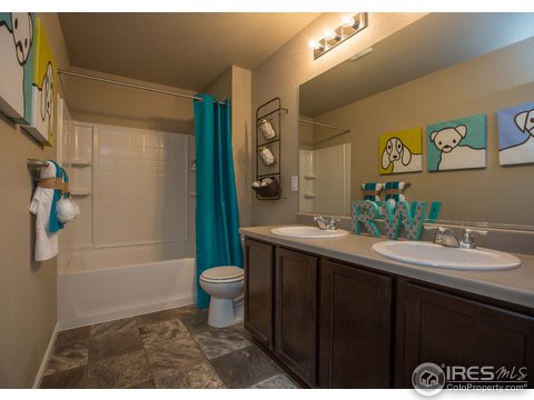 2264 Stonefish Dr, Windsor, CO 80550