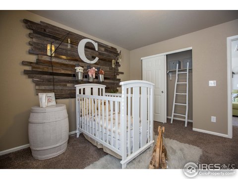 2264 Stonefish Dr, Windsor, CO 80550