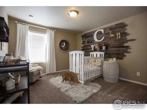 2264 Stonefish Dr, Windsor, CO 80550