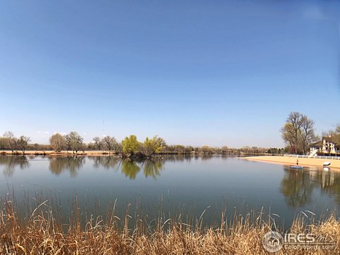 1523 Sandy Ln, Windsor, CO 80550