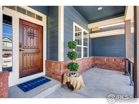 101 Whitney Ct, Windsor, CO 80550