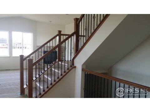 1890 Los Cabos Dr, Windsor, CO 80550