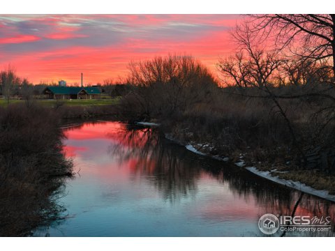 1890 Los Cabos Dr, Windsor, CO 80550