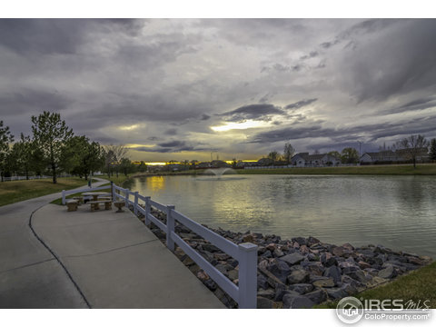 1902 Los Cabos Dr, Windsor, CO 80550