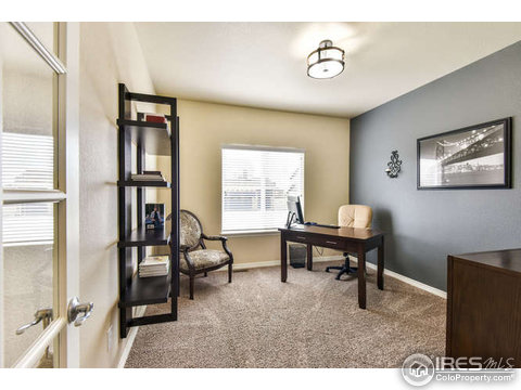 5214 Mountaineer Dr, Windsor, CO 80550